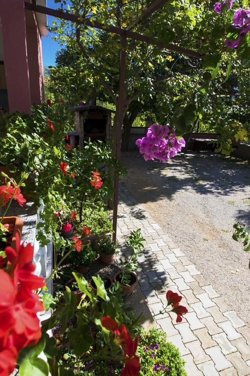 Apartments Zile Starigrad Paklenica Zewnętrze zdjęcie