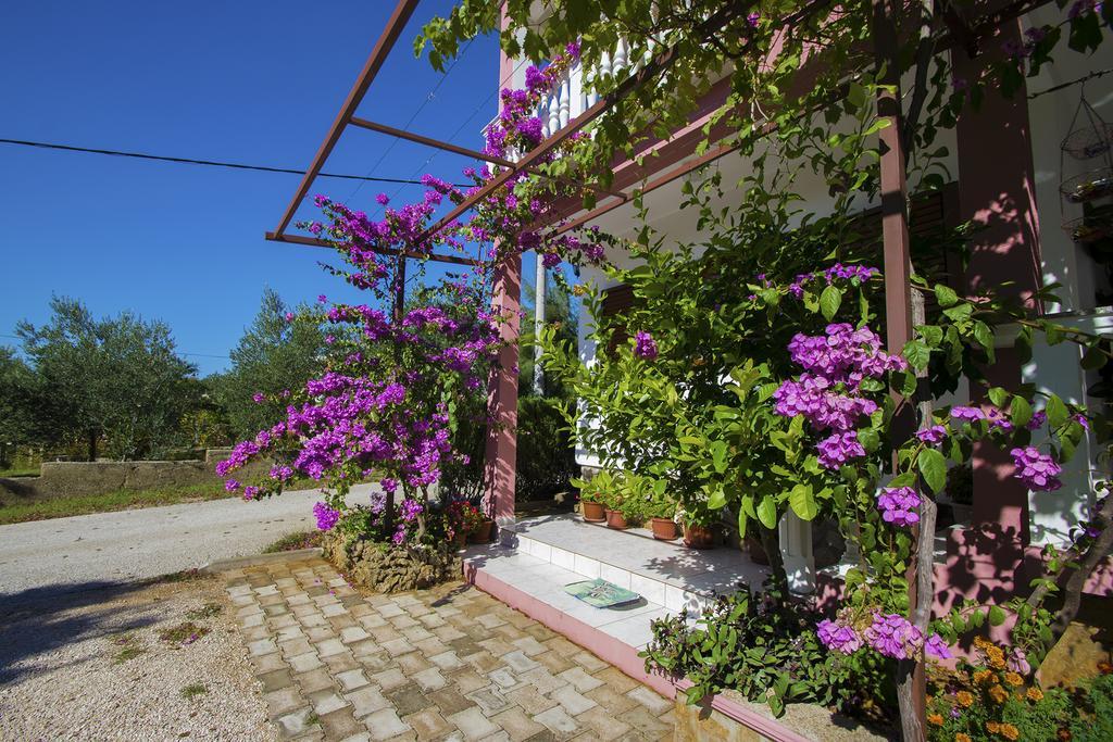 Apartments Zile Starigrad Paklenica Zewnętrze zdjęcie