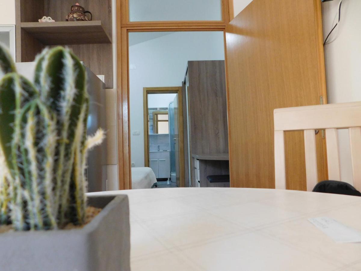Apartments Zile Starigrad Paklenica Zewnętrze zdjęcie